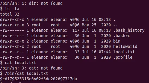 Shell obtained after PATH export