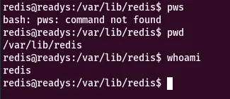 Redis shell access