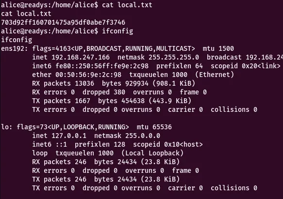 Reverse shell success